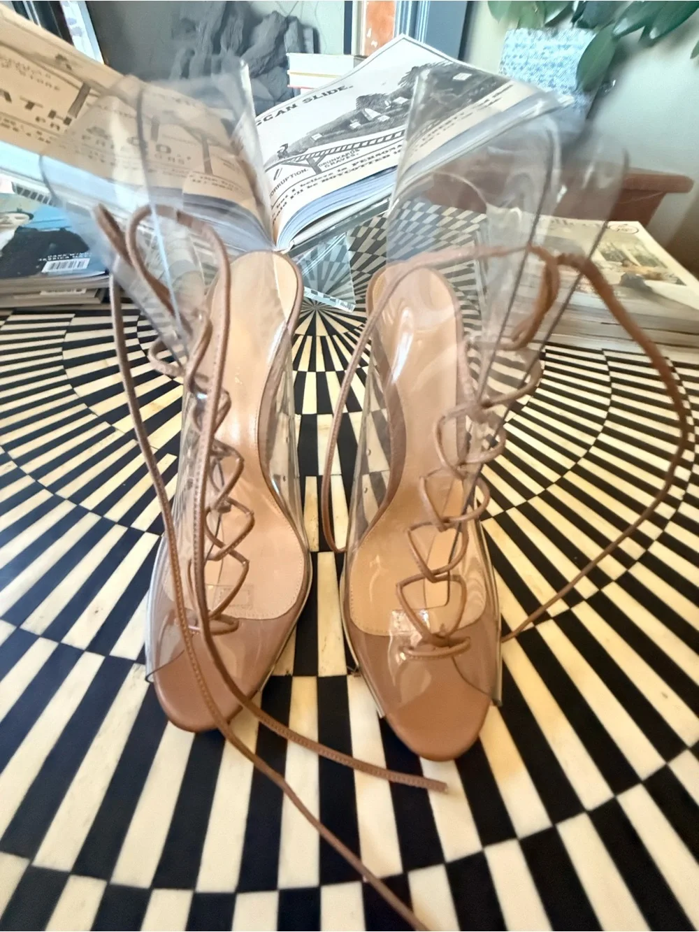 Gianvito Rossi Clear PVC Lace-Up Heels in Nude